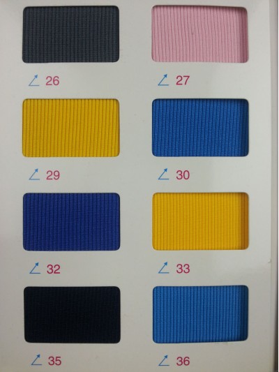 GZ-CIWI  2*2羅紋  NT-D304  380G 細節-4